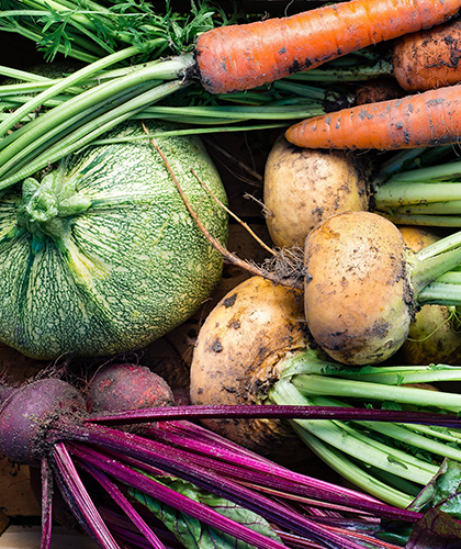 is organics sustainable? yes, it’s sustainable – here’s why