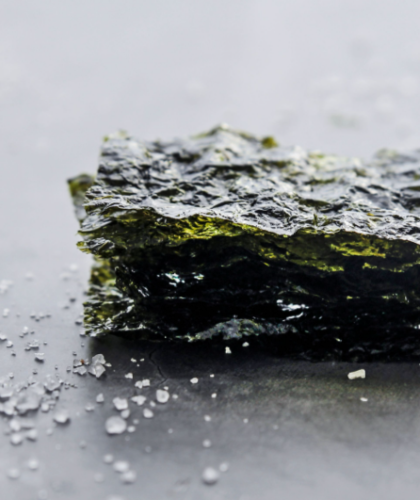 superfood from the sea: why we love organic seaweed