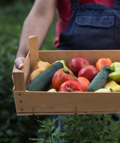 clean 15 & dirty dozen: what to eat or avoid