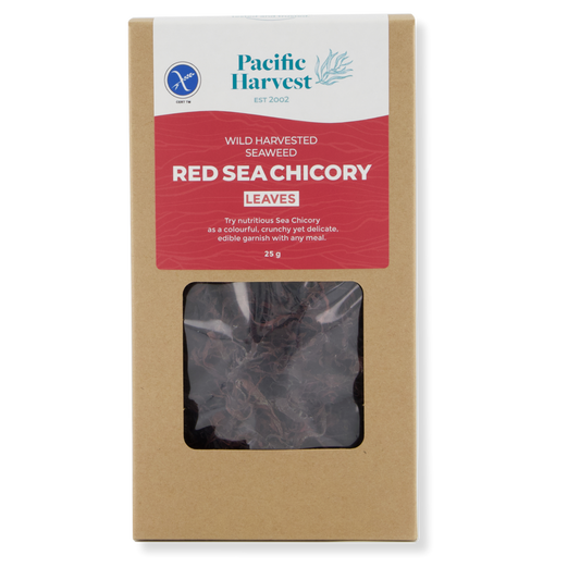Sea Chicory  - 25g